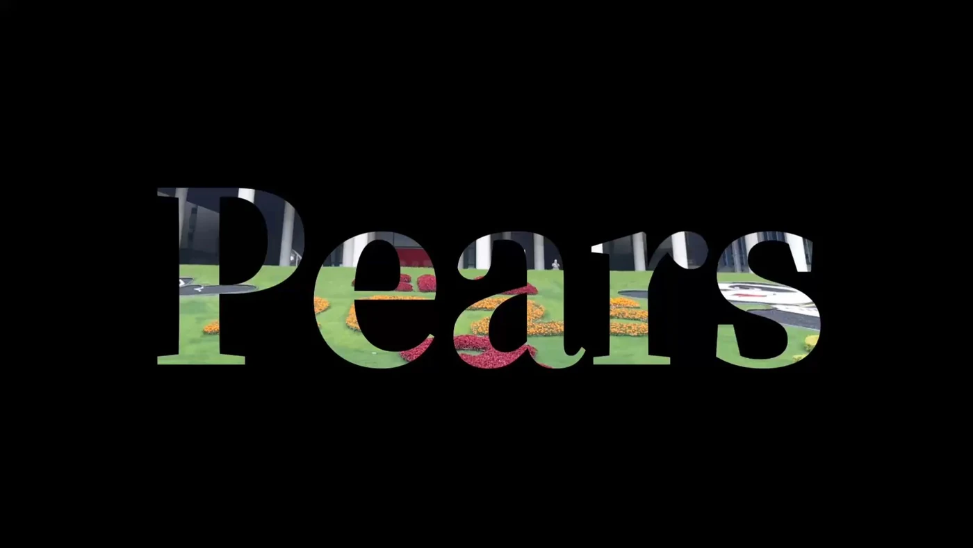 Pears 梨牌闪耀进博会
